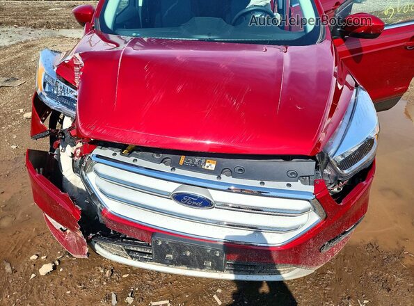 1FMCU0GD3KUB75845 2019 FORD ESCAPE Red Սալոնի հետևի տեսք