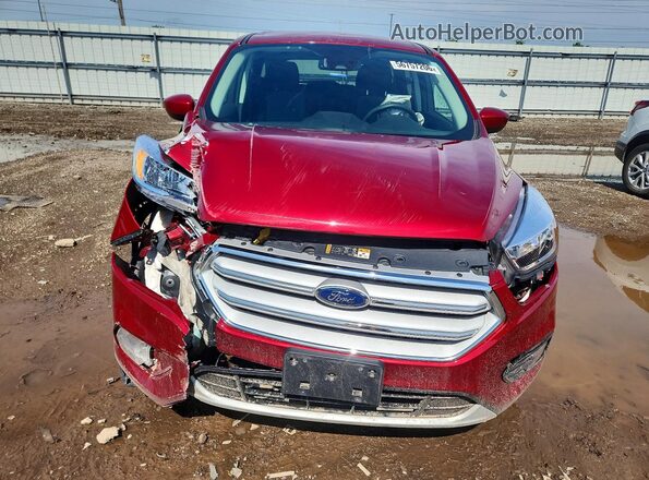 1FMCU0GD3KUB75845 2019 FORD ESCAPE Red Դիմացի տեսք