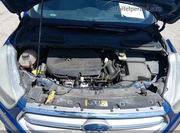 1FMCU0GD5HUA18097 2017 FORD ESCAPE Blue Widok z tyłu