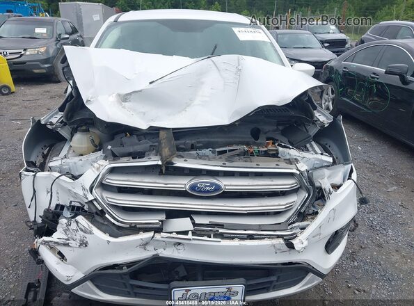 1FMCU0GD5KUB46590 2019 FORD ESCAPE Белый Вид задней части салона