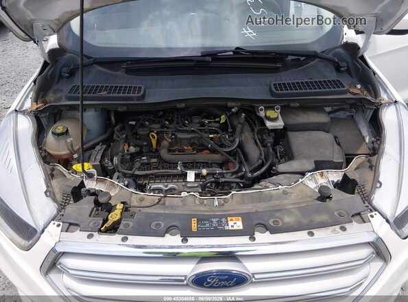 1FMCU0GD6KUC44981 2019 FORD ESCAPE Белый Вид сзади