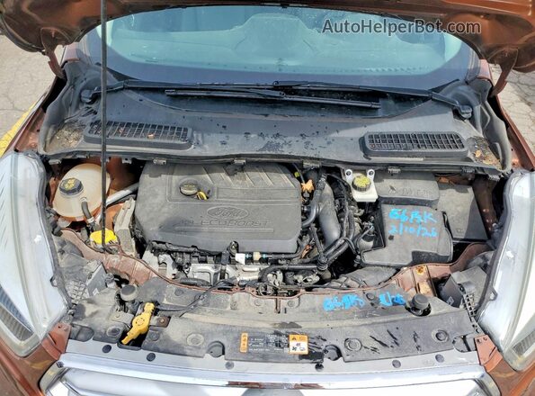 1FMCU0GD7HUE69502 2017 FORD ESCAPE Orange VIN կոդի պիտակի տեսք