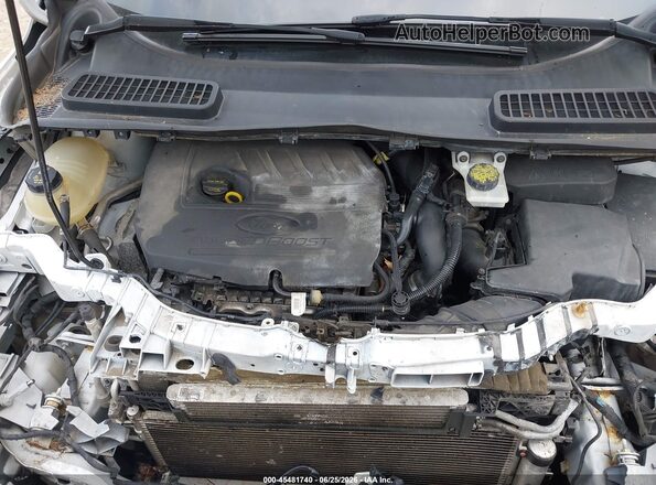 1FMCU0GD8JUD22787 2018 FORD ESCAPE White უკანა ხედი