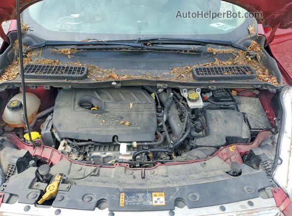 1FMCU0GD8KUB76585 2019 FORD ESCAPE Red 