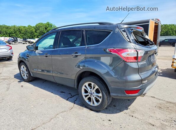 1FMCU0GD9HUB01421 2017 FORD ESCAPE Silver 