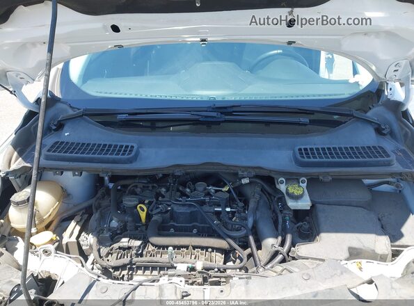 1FMCU0GD9KUB05153 2019 FORD ESCAPE White Widok z tyłu
