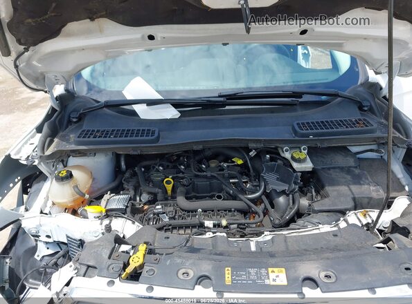 1FMCU0GD9KUB66969 2019 FORD ESCAPE White Rear view