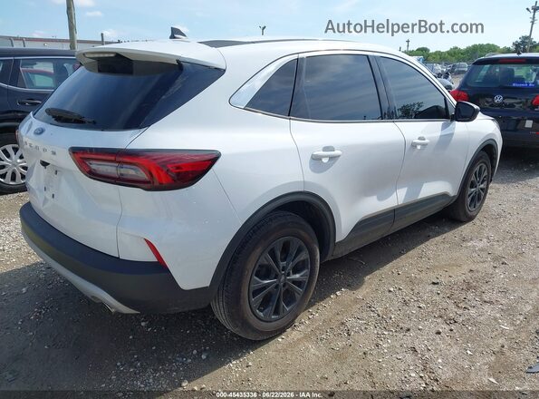 1FMCU0GN1RUB10124 2024 FORD ESCAPE White Tył prawy