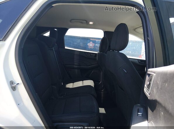 1FMCU0GN2PUA74196 2023 FORD ESCAPE White Вид наклейки з VIN-кодом