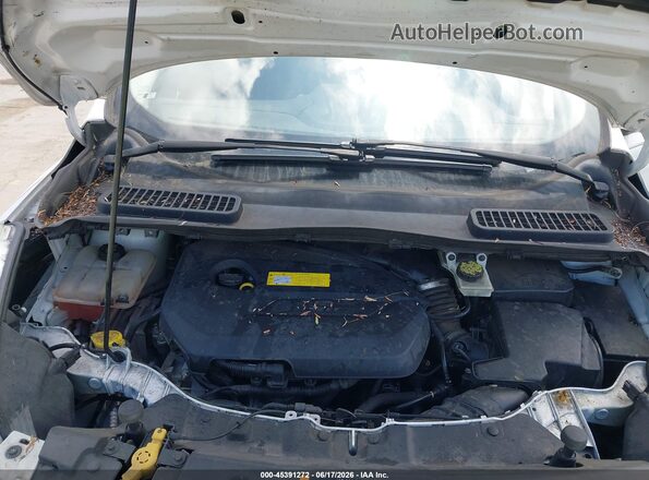1FMCU0GX4GUB44136 2016 FORD ESCAPE White Rear view