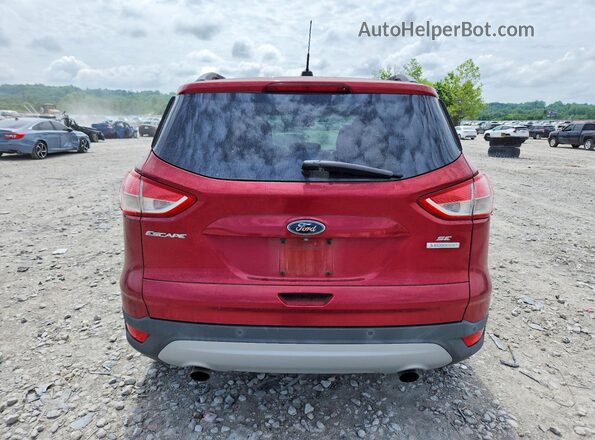 1FMCU0GX7GUA08762 2016 FORD ESCAPE Красный Вид сзади