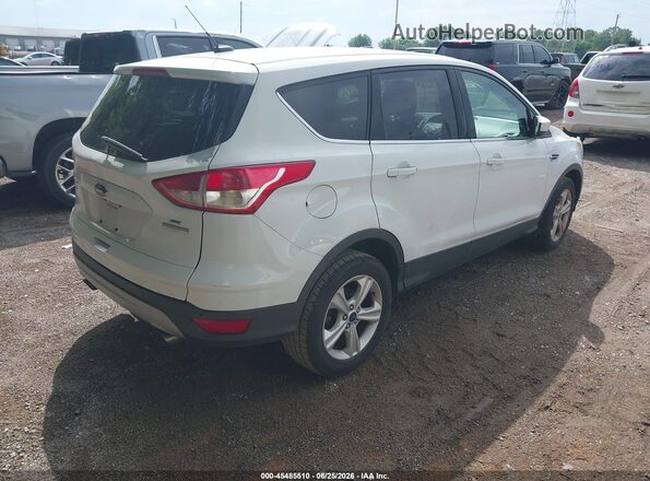 1FMCU0GX7GUC30203 2016 FORD ESCAPE White Հետևի աջ