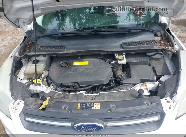 1FMCU0GX7GUC30203 2016 FORD ESCAPE White Հետևի տեսք