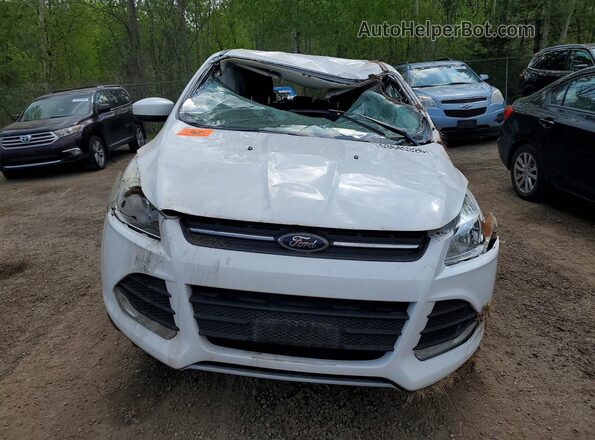 1FMCU0GXXGUA33249 2016 FORD ESCAPE White Widok z przodu