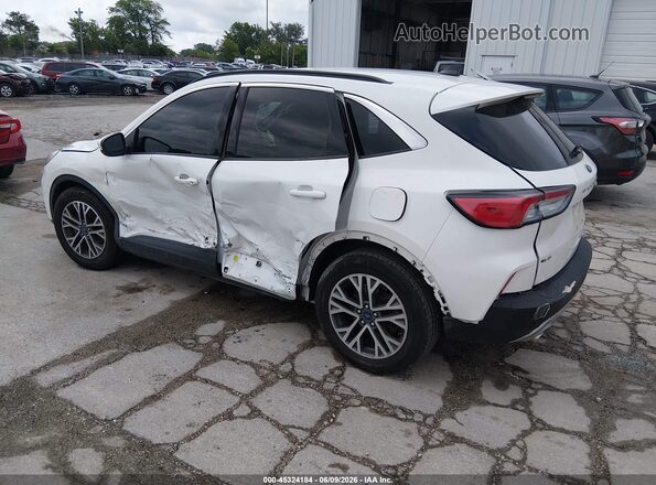 1FMCU0H61LUB45695 2020 FORD ESCAPE Белый Задняя левая четверть