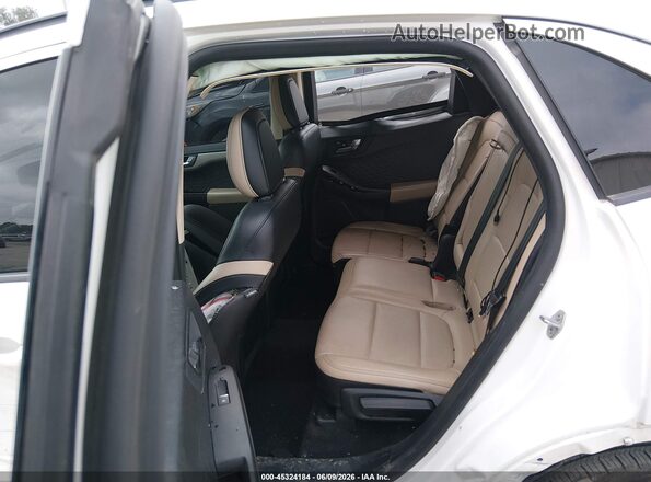 1FMCU0H61LUB45695 2020 FORD ESCAPE Белый Вид наклейки с VIN-кодом
