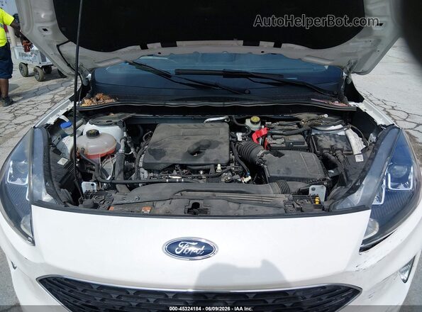 1FMCU0H61LUB45695 2020 FORD ESCAPE Белый Вид сзади