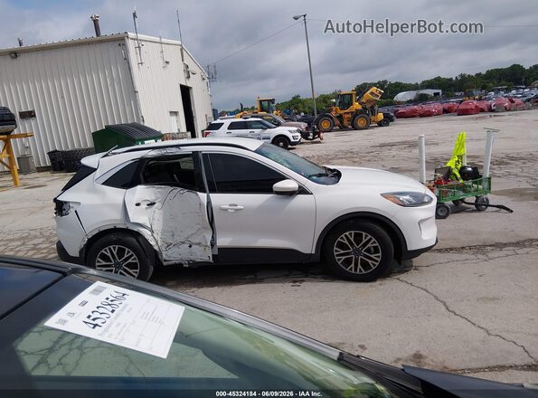 1FMCU0H61LUB45695 2020 FORD ESCAPE Белый Панорамный вид салона 360°