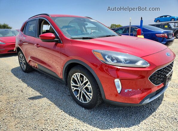 1FMCU0H62LUB42143 2020 FORD ESCAPE Red 