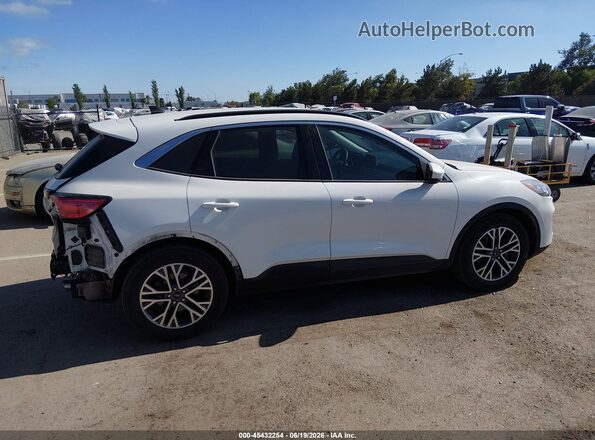1FMCU0H65LUB02607 2020 FORD ESCAPE White Սալոնի 360 աստիճան տեսք