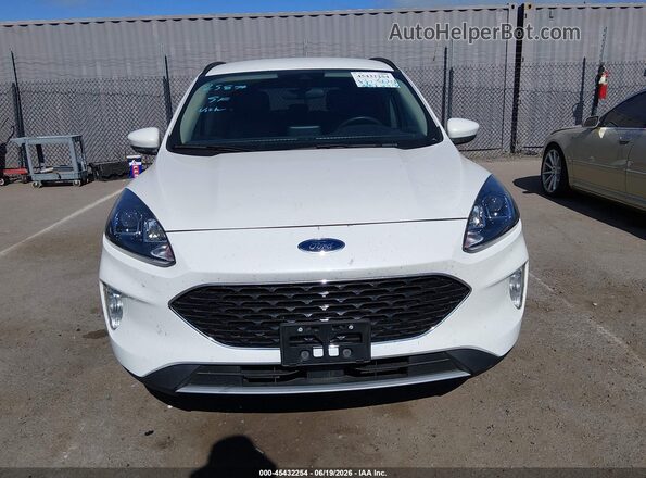 1FMCU0H65LUB02607 2020 FORD ESCAPE White Սալոնի հետևի տեսք
