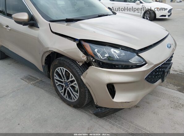 1FMCU0H67LUA76060 2020 FORD ESCAPE Beige Widok z przodu