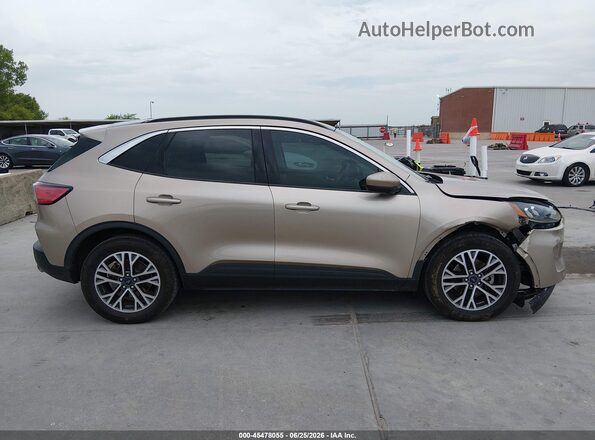 1FMCU0H67LUA76060 2020 FORD ESCAPE Beige Widok wnętrza 360 stopni