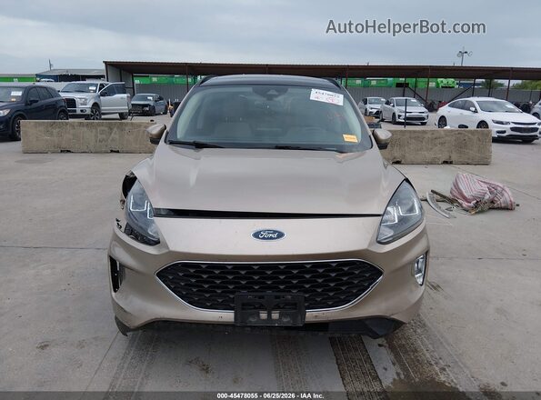 1FMCU0H67LUA76060 2020 FORD ESCAPE Beige Widok wnętrza z tyłu