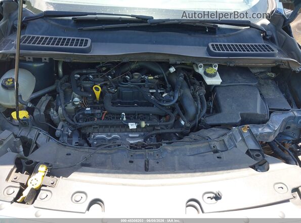 1FMCU0HD5KUB32607 2019 FORD ESCAPE Синий Вид сзади
