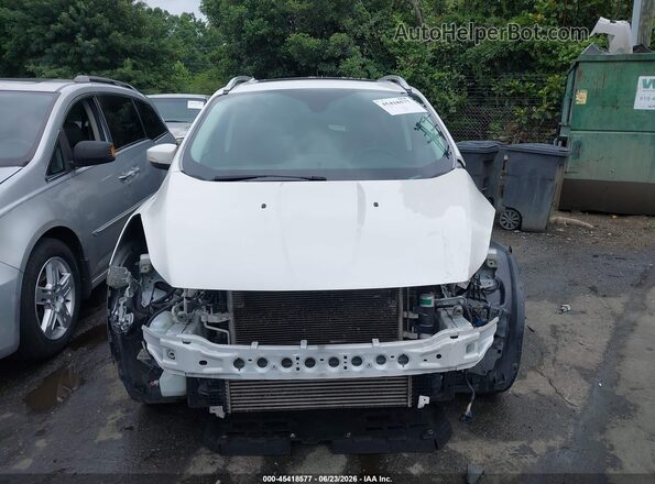 1FMCU0J94GUA04484 2016 FORD ESCAPE White Rear interior view