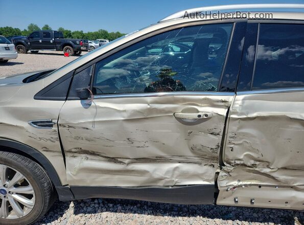 1FMCU0JD0HUE29416 2017 FORD ESCAPE Gold Vista interior delantera