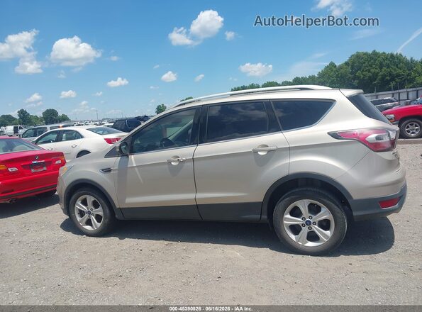 1FMCU0JD5HUA84495 2017 FORD ESCAPE Beige 