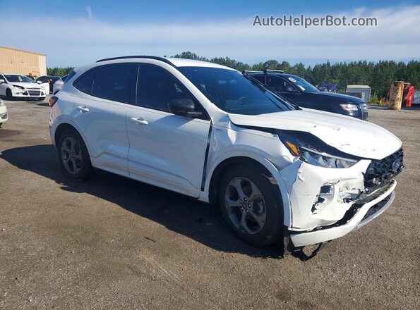 1FMCU0MNXRUB36094 2024 FORD ESCAPE White წინა მარჯვენა