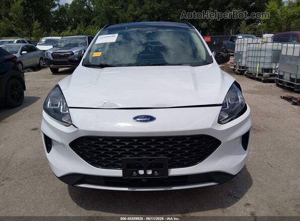 1FMCU9BZ0LUC08597 2020 FORD ESCAPE HYBRID SE SPO White Rear interior view
