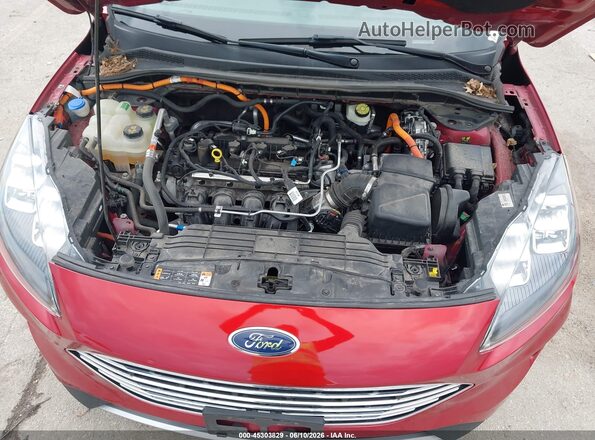 1FMCU9DZ3MUB19167 2021 FORD ESCAPE Red Vista trasera