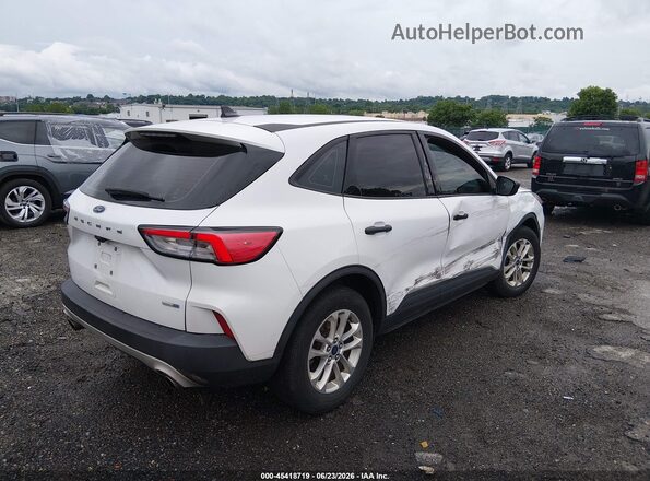 1FMCU9F68LUB53137 2020 FORD ESCAPE Белый Задняя правая четверть