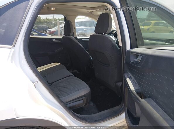 1FMCU9G61LUB05557 2020 FORD ESCAPE White VIN կոդի պիտակի տեսք