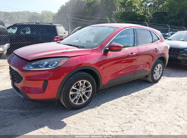 1FMCU9G62MUB16407 2021 FORD ESCAPE Burgundy წინა მარცხენა ხედი სამი მეოთხედიდან