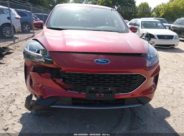 1FMCU9G62MUB16407 2021 FORD ESCAPE Burgundy წინა ხედი