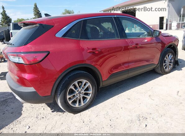 1FMCU9G62MUB16407 2021 FORD ESCAPE Burgundy უკანა მარჯვენა
