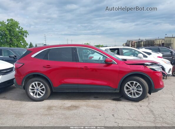 1FMCU9G63LUC27613 2020 FORD ESCAPE Red Սալոնի հետևի տեսք
