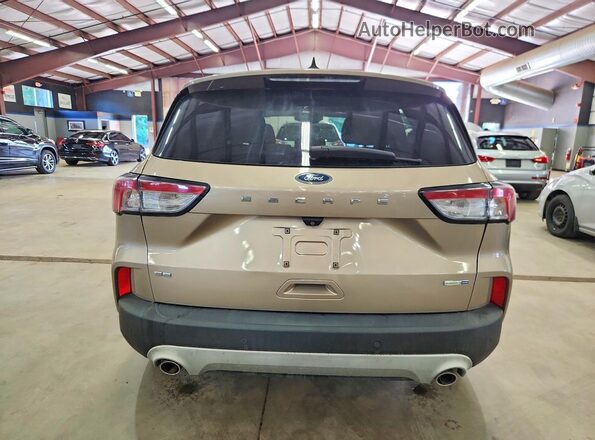 1FMCU9G64LUB44160 2020 FORD ESCAPE Желто-коричневый Вид сзади