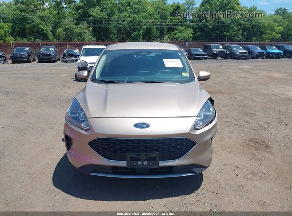 1FMCU9G64LUC70115 2020 FORD ESCAPE Beige ხელსაწყოთა პანელის ხედი