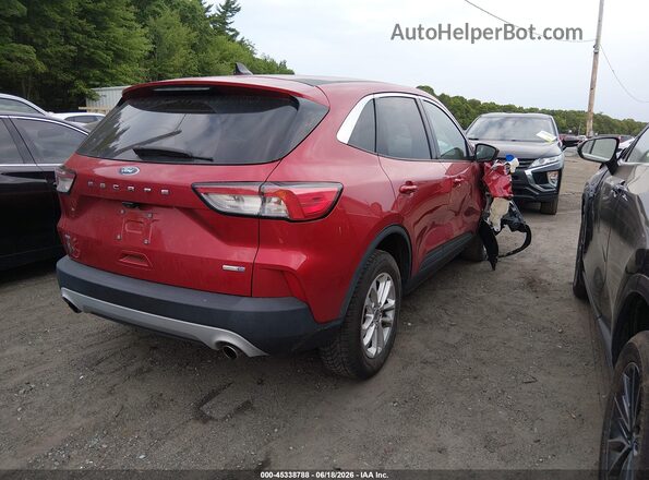 1FMCU9G65LUB87437 2020 FORD ESCAPE Red უკანა მარჯვენა