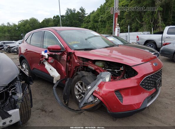 1FMCU9G65LUB87437 2020 FORD ESCAPE Red უკანა სალონის ხედი