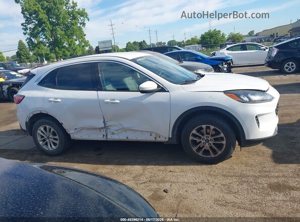 1FMCU9G67LUC04254 2020 FORD ESCAPE White Rear interior view