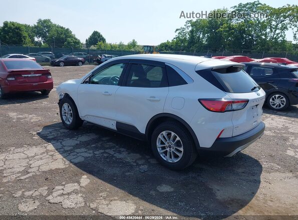 1FMCU9G68LUB54982 2020 FORD ESCAPE Белый Задняя левая четверть