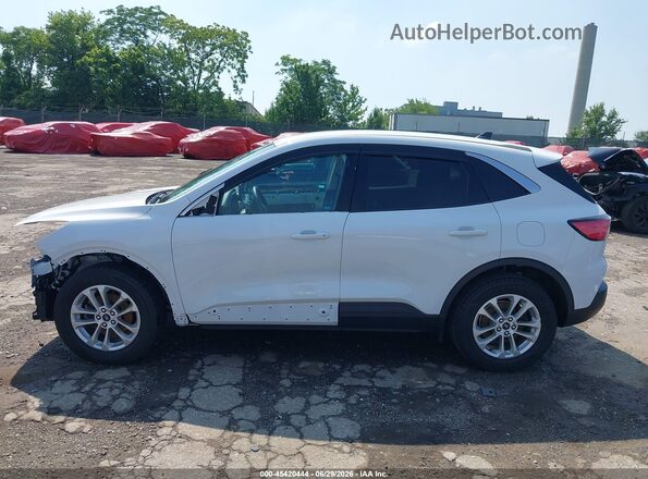 1FMCU9G68LUB54982 2020 FORD ESCAPE Белый Панорамный вид салона 360°