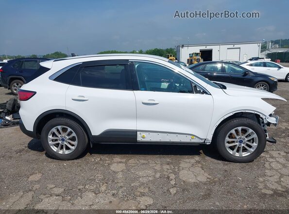 1FMCU9G68LUB54982 2020 FORD ESCAPE Белый Вид задней части салона