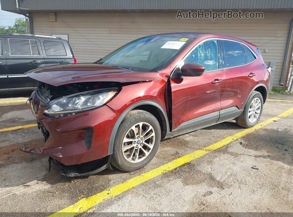 1FMCU9G68MUB06688 2021 FORD ESCAPE Maroon Առջևի ձախ երեք քառորդ տեսարան